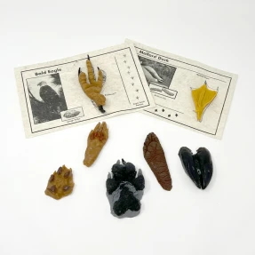 Replitracks&trade; Animal Tracks (18 Tracks)