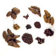 Repliscat&trade; Animal Scat Set (11 Scats)