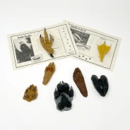 Replitracks&trade; Animal Tracks (18 Tracks)